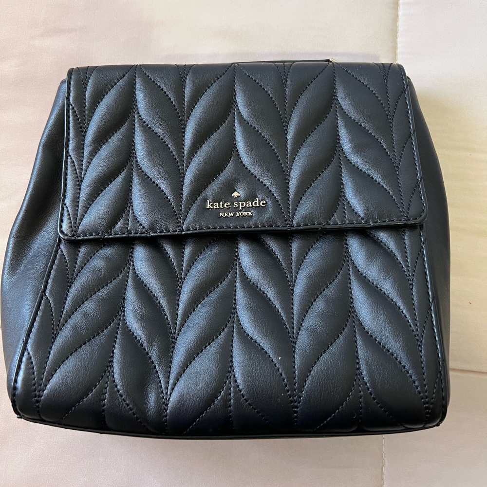 Kate Spade 2 in 1 bag